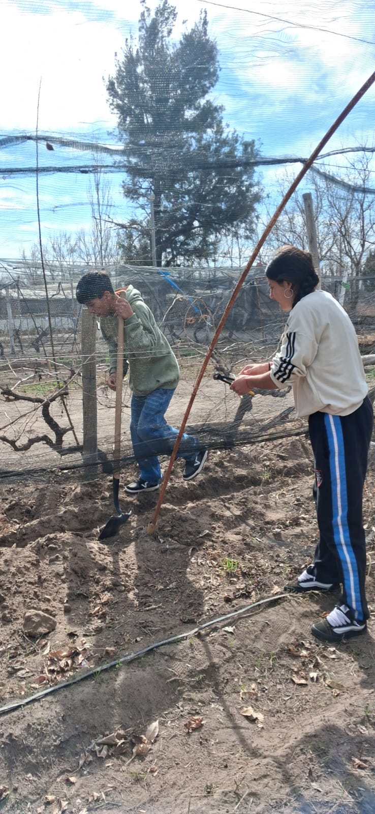 Fotografía del proyecto cooperativo