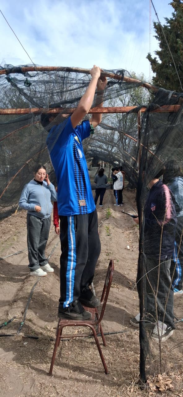 Fotografía del proyecto cooperativo