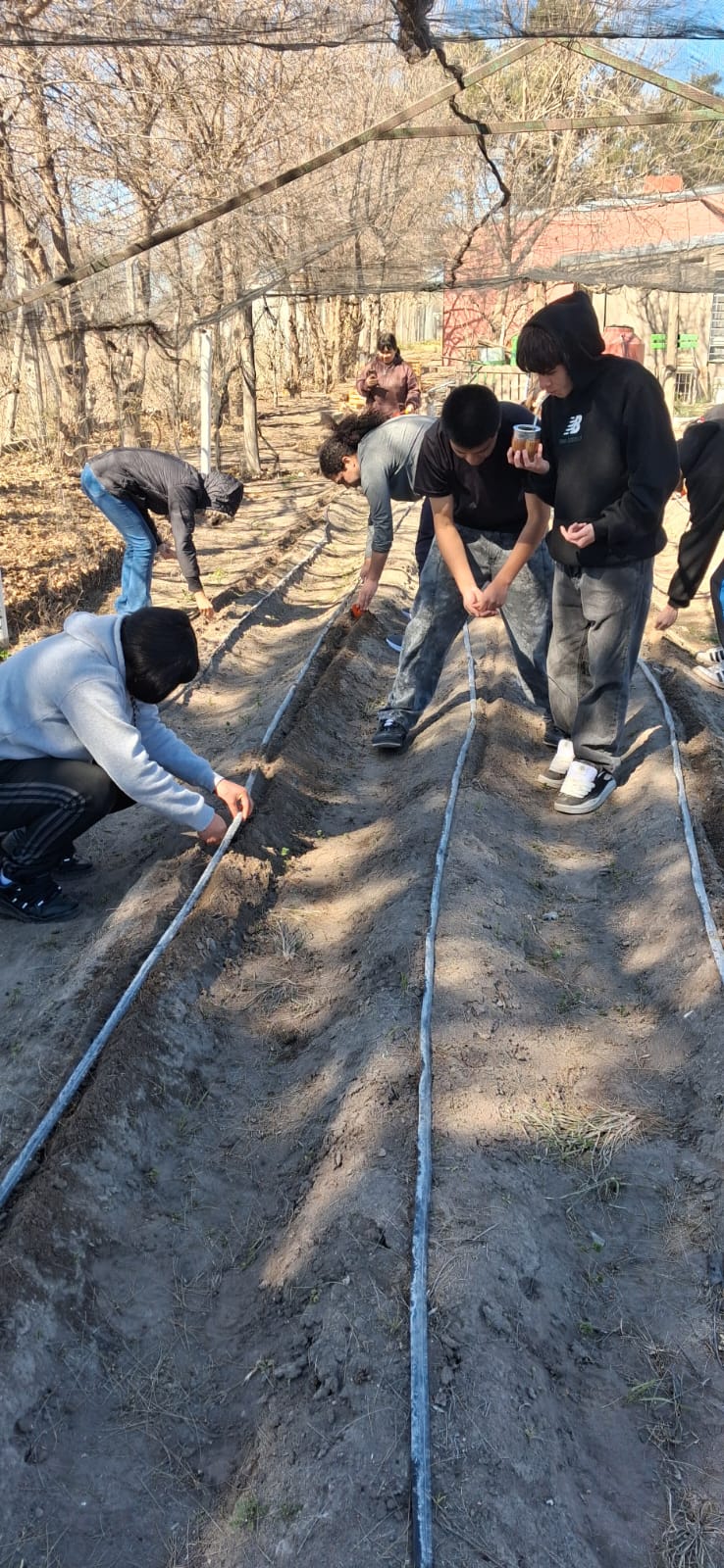 Fotografía del proyecto cooperativo